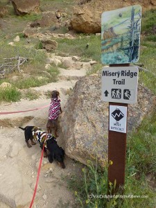 Dog Friendly Misery Ridge Trail at Smith Rock State Park