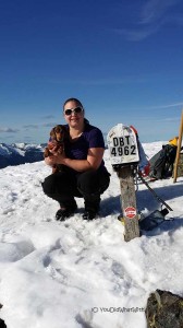 a miniature Dachshund hikes to the top of mailbox peak