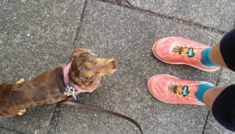 Running with my Dachshund in my Hoka One One shoes
