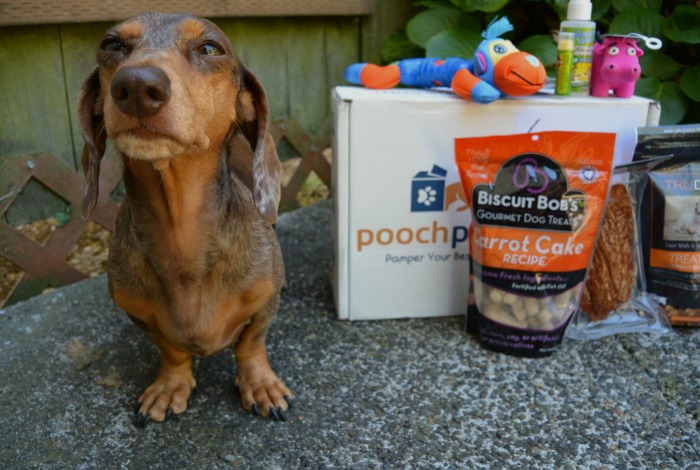 Pooch Perks: Subscription Dog Box Review
