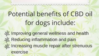 Benefits of CBD for your dog