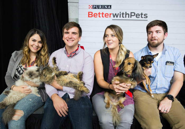8 Things Purina Taught Me About Pet Care