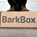 BarkBox Dog Subscription Box Review