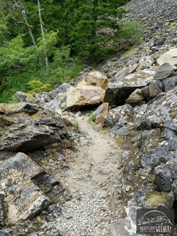 Biggest obstacle on the dog friendly Diablo Lake Trail
