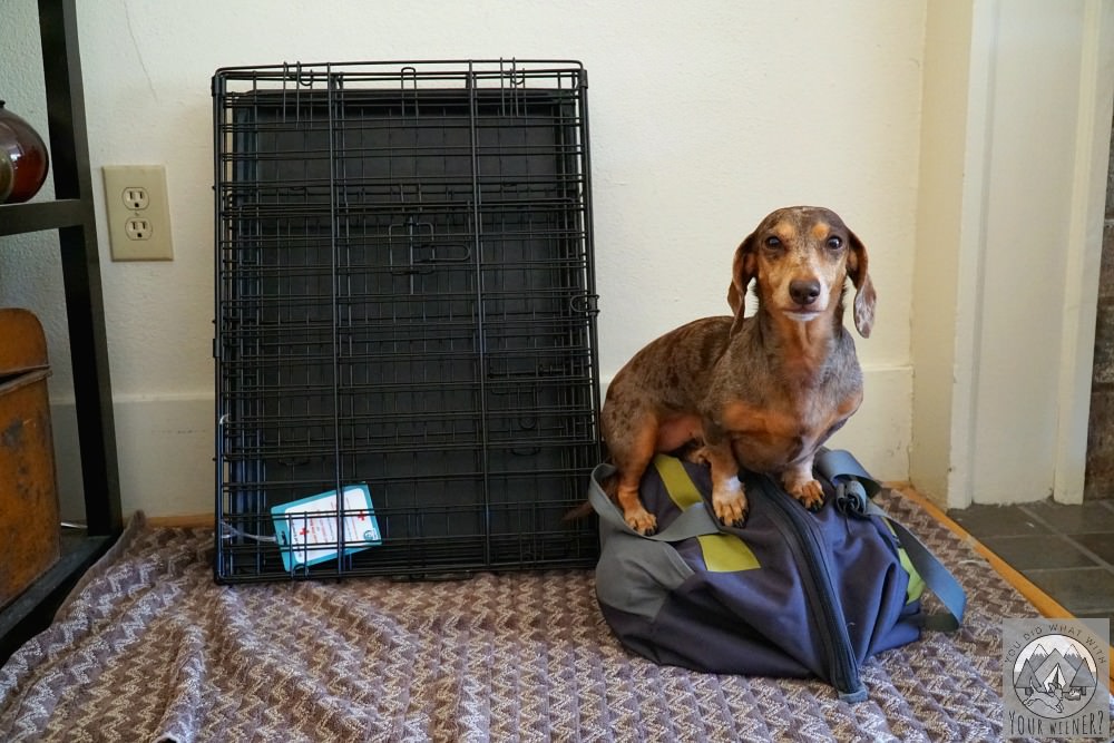 Wire dog crate folded for travel