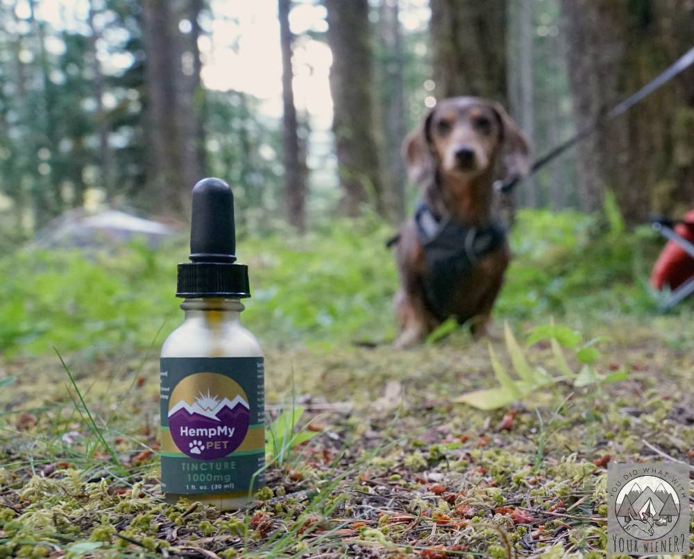 HempMy Pet CBD Oil for Pets is great to take camping with you