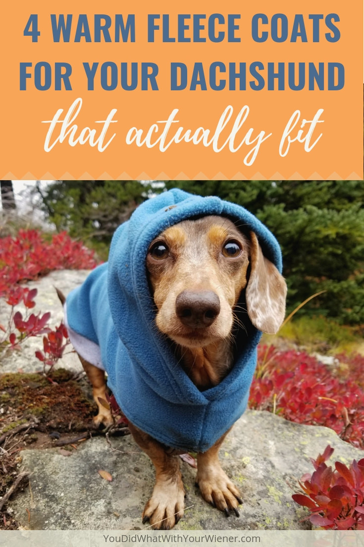 Check out this list of Dachshund fleece coats that will fit their deep chests while also covering their back all the way