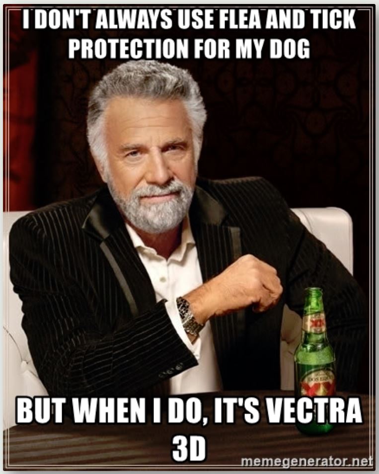 Vectra 3DⓇ is my flea and tick repellent of choice for my dogs