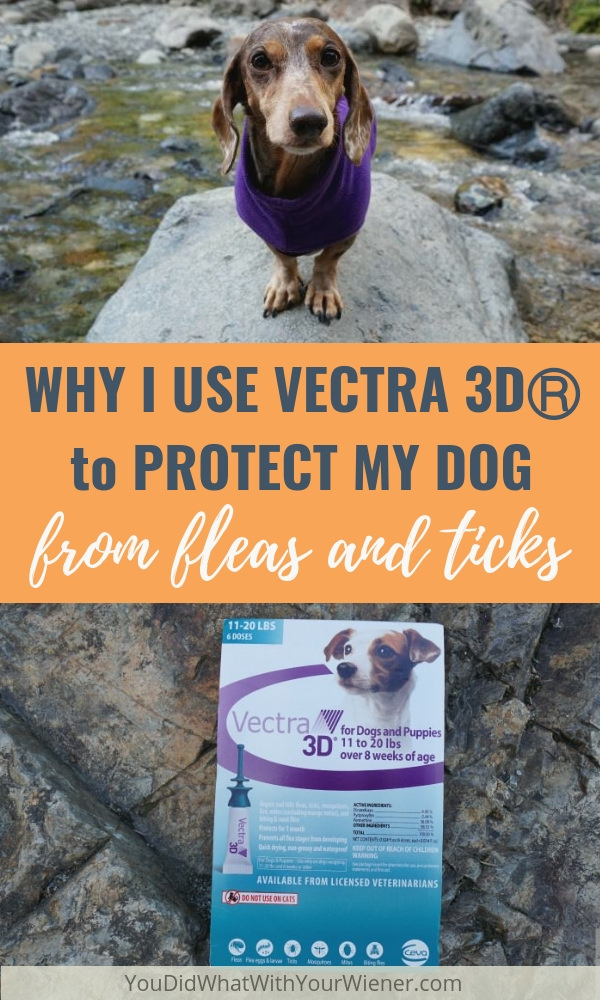 Vectra 3D doesn't just kill fleas and ticks (plus some other nasty bugs), it keeps them from biting your dog in the first place. #doghealth