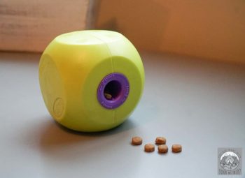 A lime green and purple slow feeder ball toy sits on a counter with dog kibble spilling out.