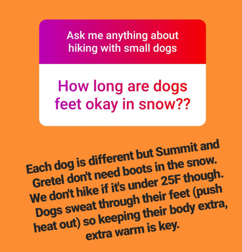 Reader Question: How long are a dog's feet ok in the snow without boots?