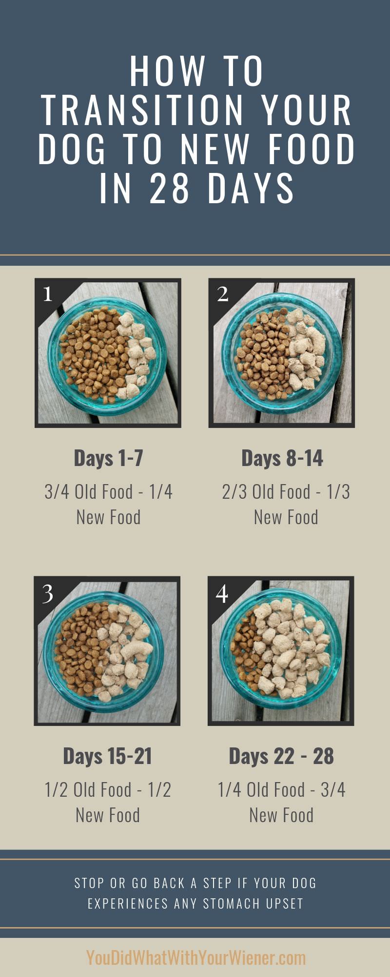 Graphic showing images of the 4 steps process of transitioning a dog to a new food (ratios over time)