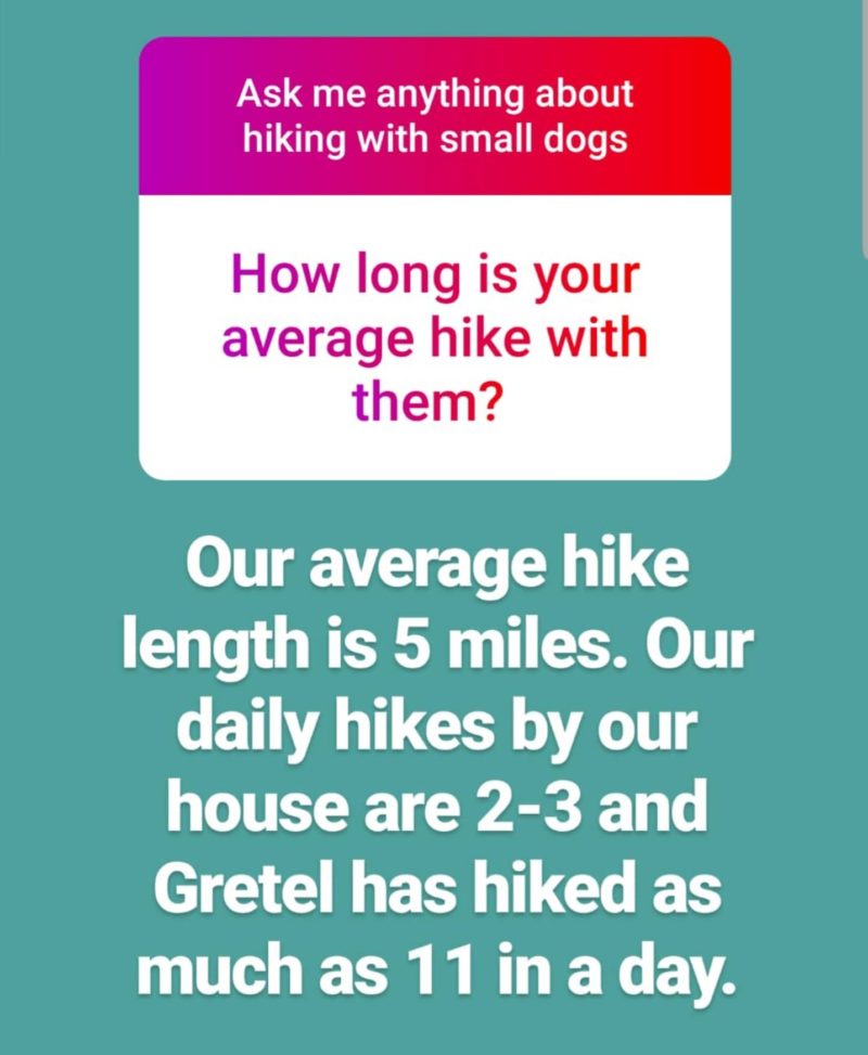 Reader Question: What is the average length of hike you go on with your dogs?