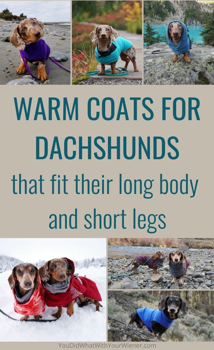 Warm Coats for Dachshunds That Actually Fit