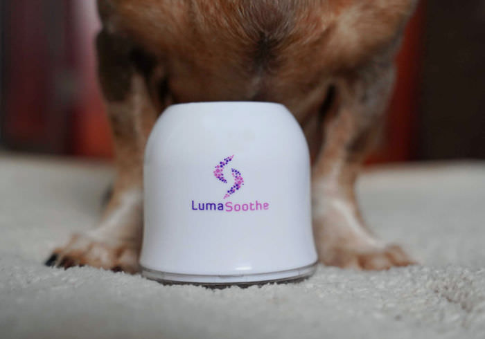 LumaSoothe: IVDD Light Therapy at Home