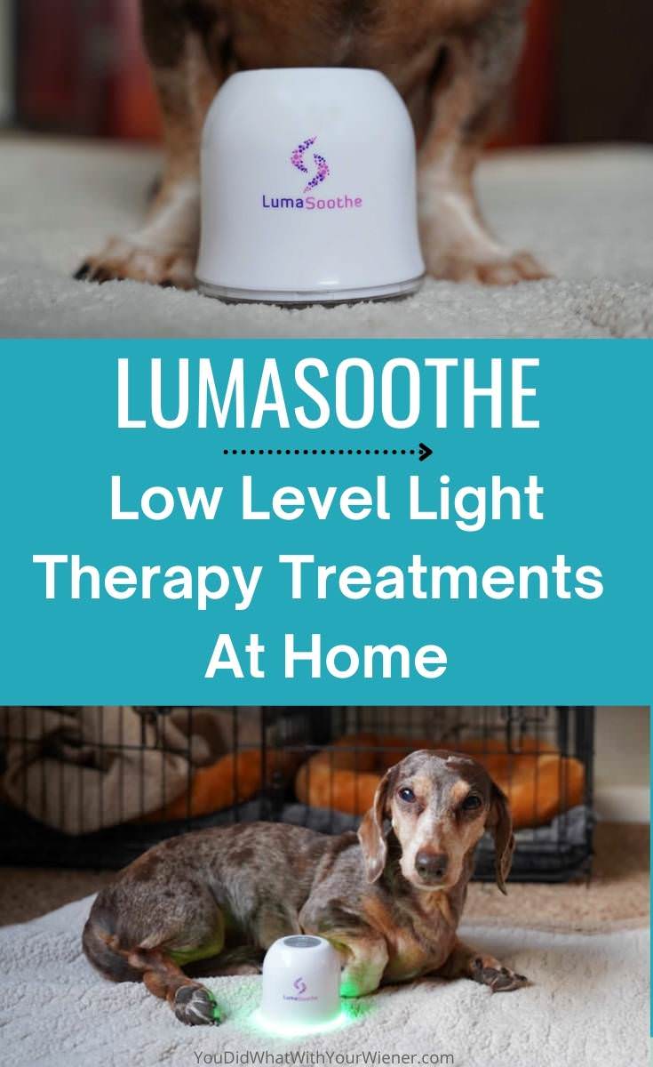 LumaSoothe provides Low Level Light Therapy (LLLT) for pets at home to help heal wounds, reduce inflammation, and decrease pain