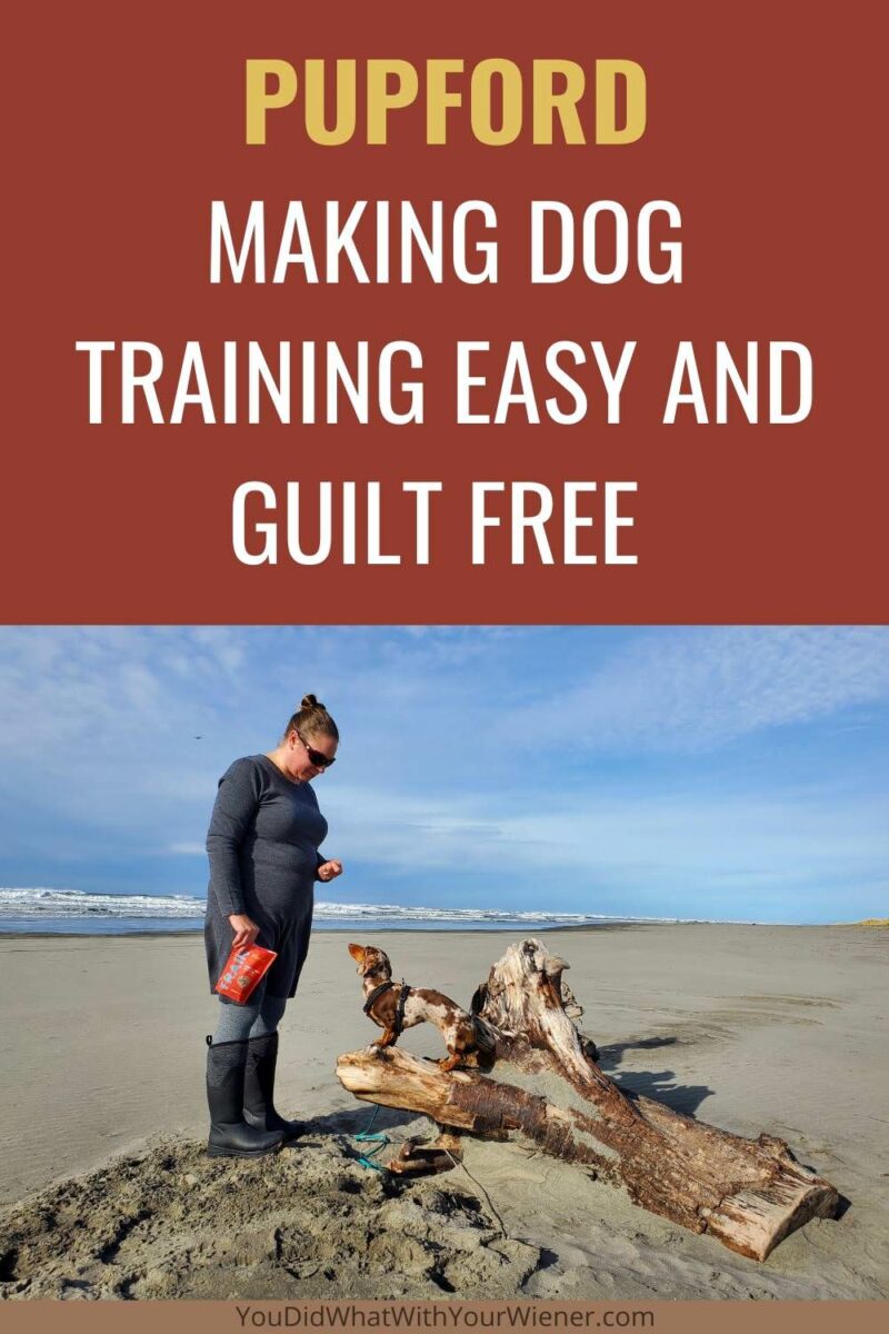The Pupford Academy app, and single ingredient, one-calorie dog training treats, make it more convenient for me to train my dog.