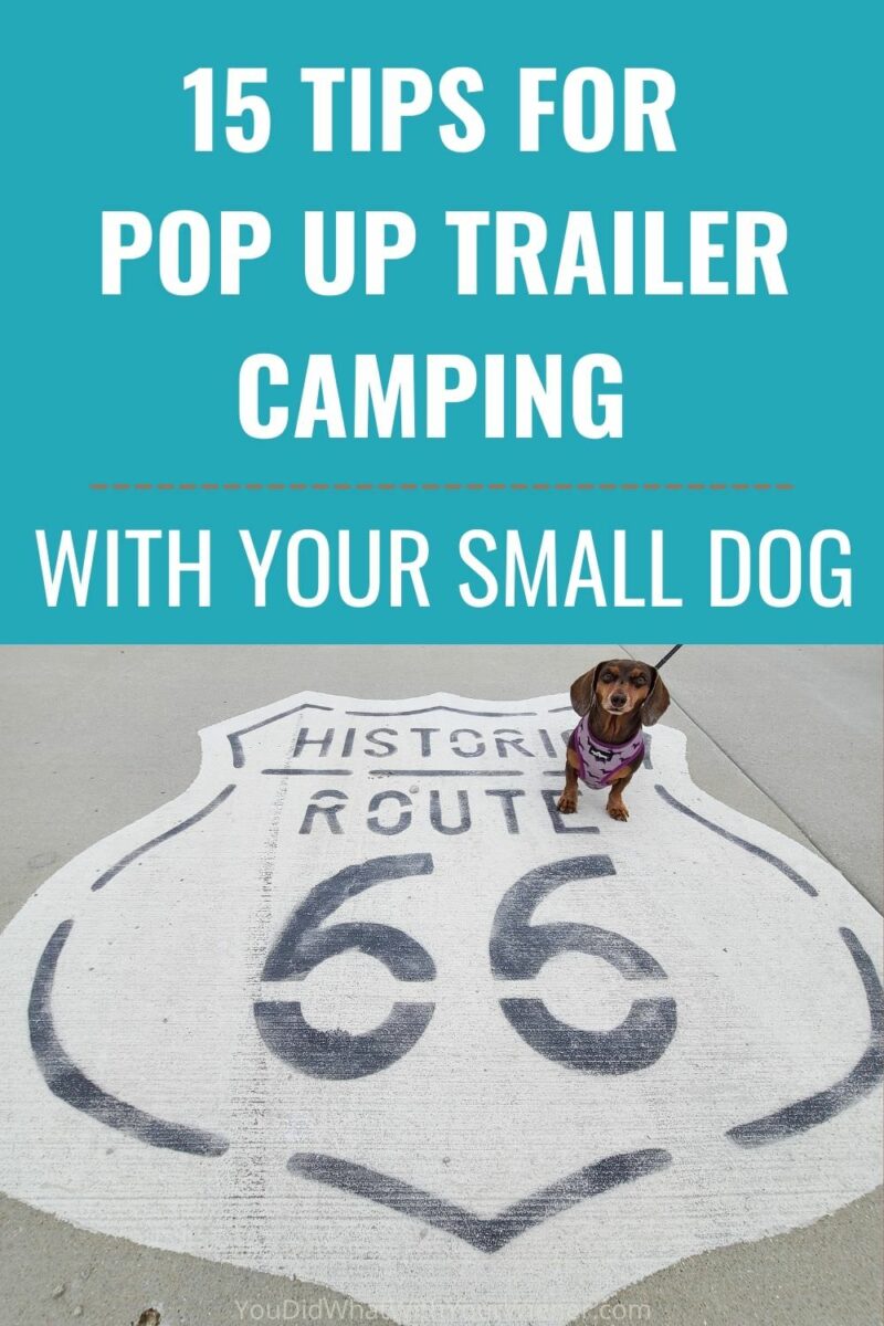 Thinking about trailer camping with your dog? Here are 15 tips for pop up trailer camping with your small dog that you'll want to know.