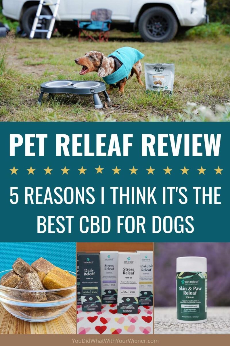 5 Reasons I think Pet Relief Hemp Health is the best CBD for dogs #pethealth #cbdfordogs #cbdforpets