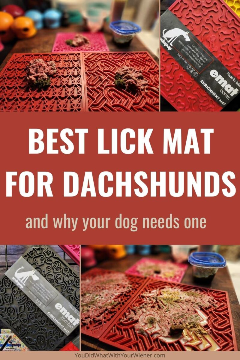 There are many benefits of lick mats for Dachshunds and other small dogs. Find out how they might help you manage your Dachshund's behavior, enrich their life plus which ones I recommend.