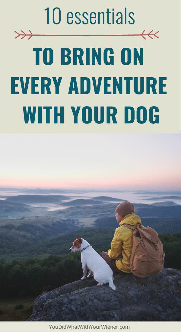 I've been hiking, camping, and traveling with my Dachshunds over 15 years. Over time, I've found that there are several essentials I take with us every time we go on an adventure with my dogs.