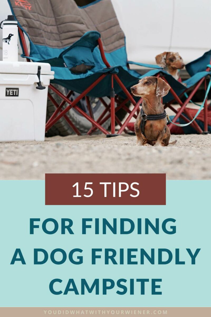 Camping with your dog can be one of the best ways to add excitement to their life and build amazing memories together. I know because I have been camping with mind for over 15 years. Following these tips will help you find the best dog friendly campsite and minimize any surprises or hassle.