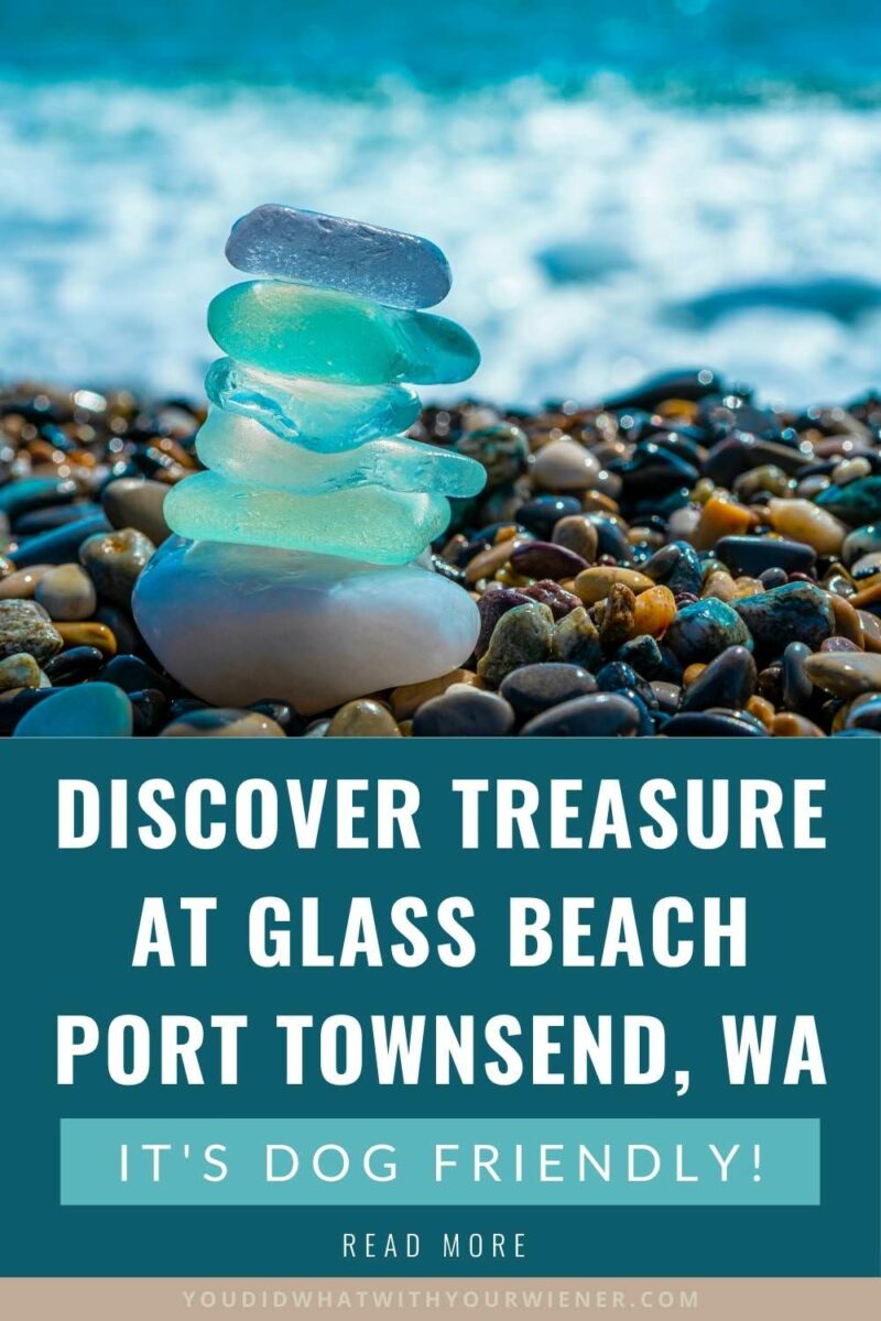 If you're looking for a unique dog friendly adventure, look no further than Glass Beach in Port Townsend, Washington. Glass beach has one of the highest concentrations of sea glass in the state, if not the US. if not the world.