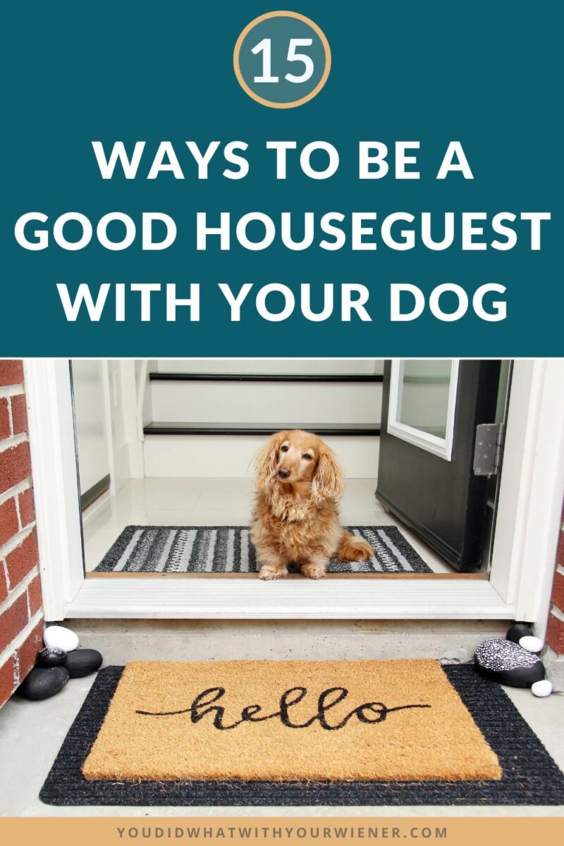 When you stay at someone else's house with your dog, it's important to be a good houseguest. If you aren't, your host may cringe every time you want to stay or not invite you back. By following these tips, you can show your host that you are responsible, considerate of their home, and help ensure that your dog's stay is a pleasant one for everyone.