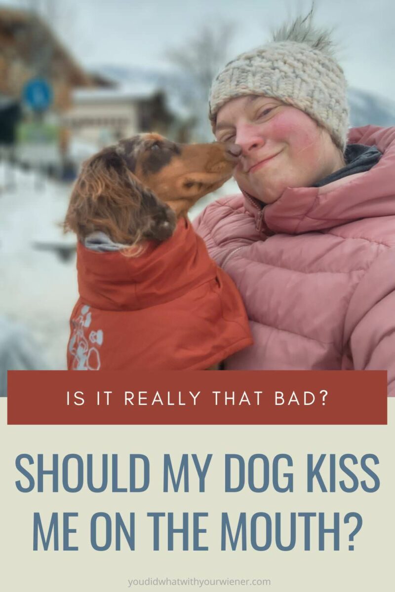 I have seen a lot of articles about the horrors of letting your dog kiss you on the mouth. Well, I appreciate the love and regularly let my dog kiss me on the lips. So I did my own research to see if it's really that bad.