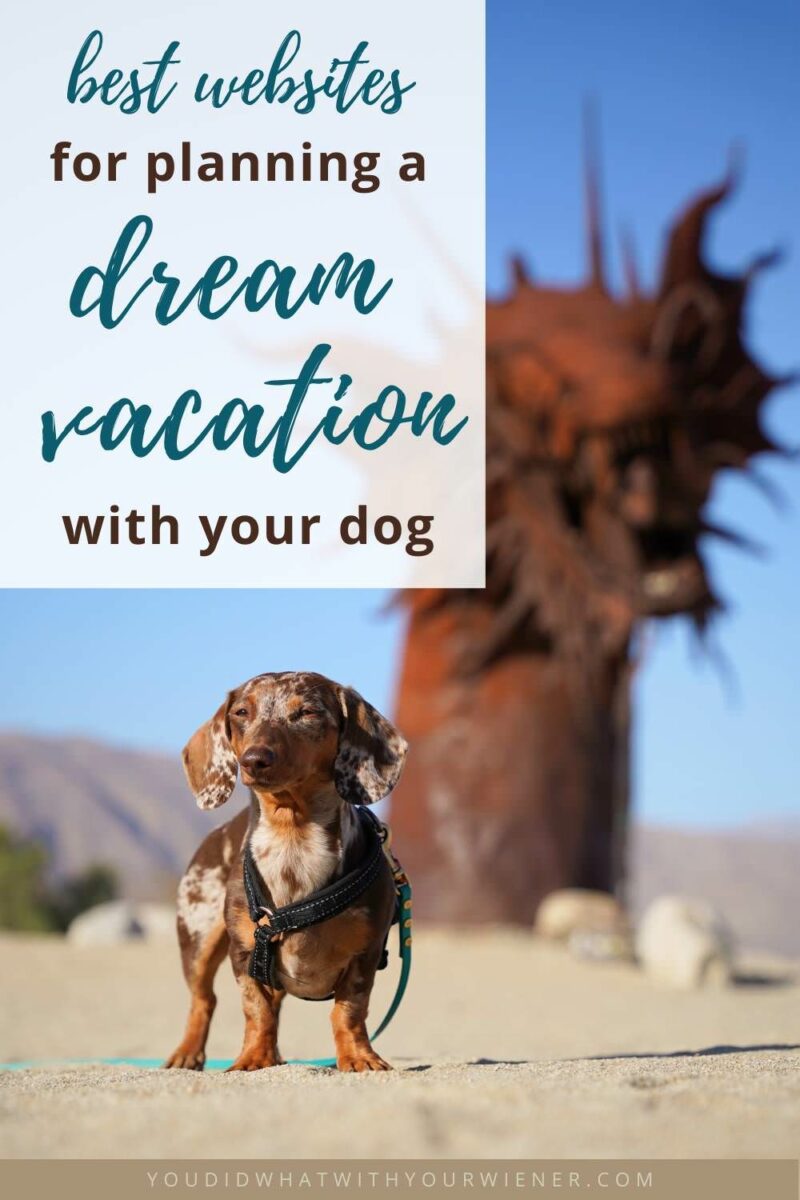 Dream of hitting the road and traveling around the country with your dog? Well, I've done it! After driving, literally thousands of miles around the US, I've honed my vacation research strategy. These websites are essential to planning the perfect dog friendly vacation.