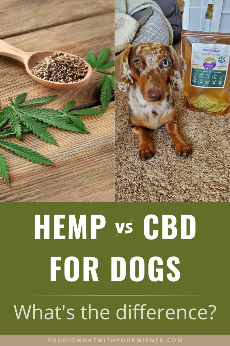 Never heard of hempwashing? It's a deceptive practice where a brand slaps "hemp" on the label to make you think the product contains CBD, which is a very beneficial health compound for your dog. Educate yourself about the difference between hemp and CBD here so you won't be fooled!