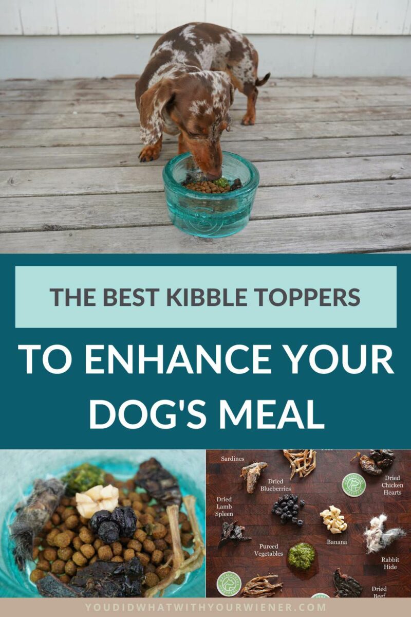 Dog food toppers are a great way to enhance your dog's meal, whether you feed kibble and just want to improve your dog's diet, want to use toppers as a way to transition to a raw dog food diet, or want to enhance an already raw meal. In this article, I share the best kibble toppers for dogs.