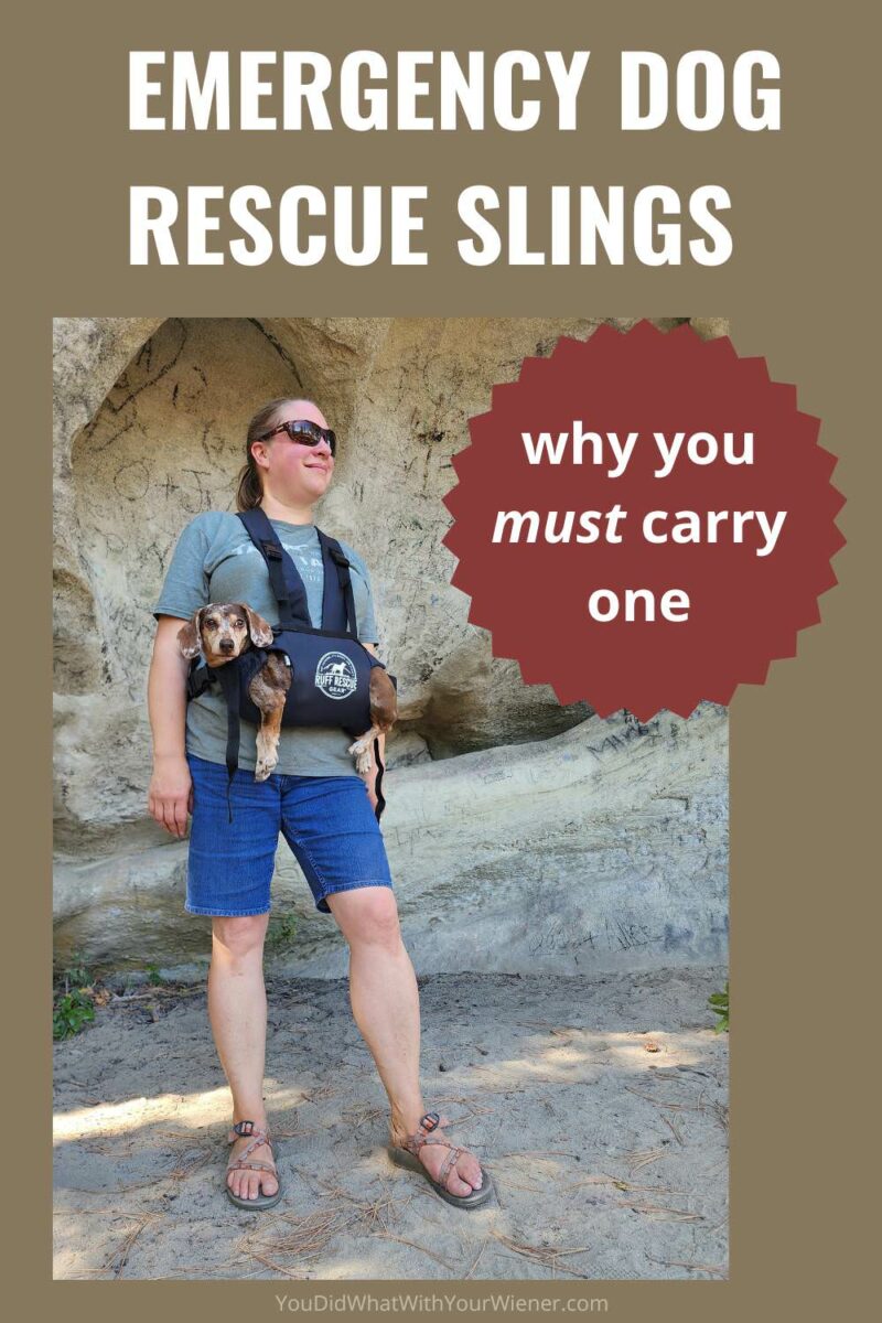 Even if your dog is small dogs, it’s still very important to have an emergency plan for them when hiking. There are many different scenarios that can result in your dog not being able to walk out of the woods on their own. See my recommendations for the best dog emergency evacuation slings for Dachshunds and other small breeds.
